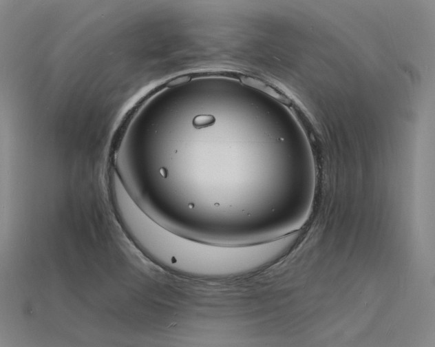 X0000115841460200911131521