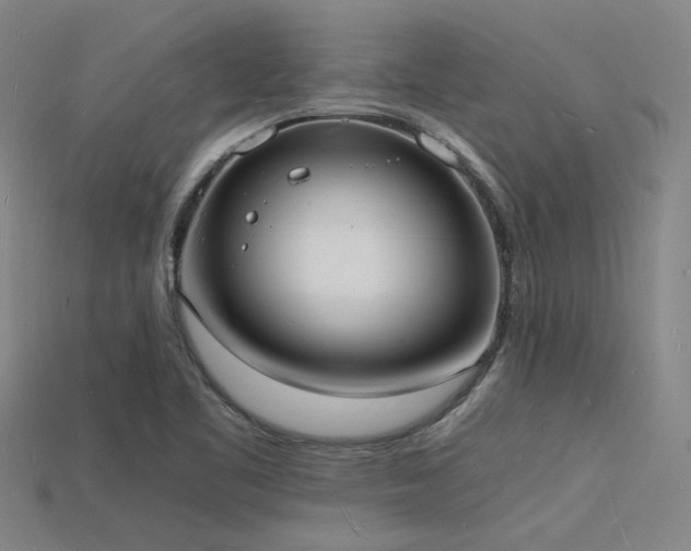 X0000115841461200911131521