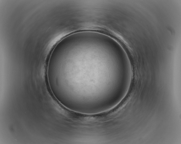 X0000115841463200911131521