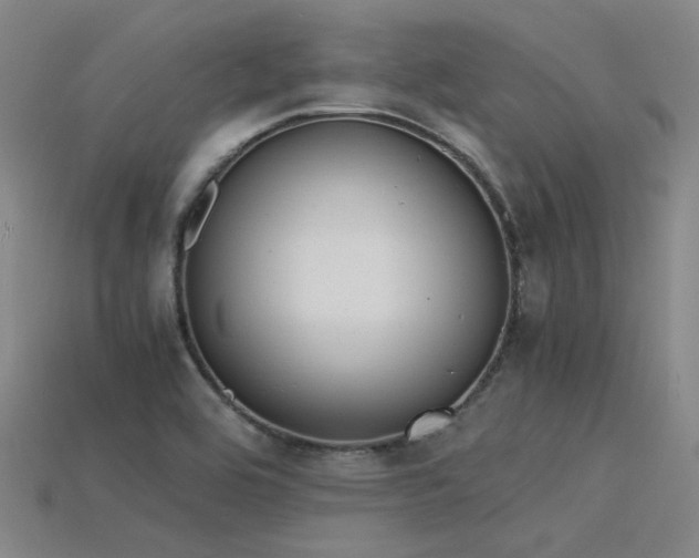 X0000115841464200911131521