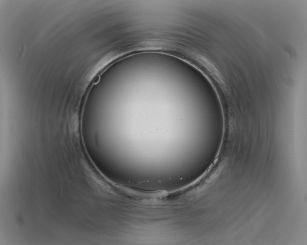 X0000115841465200911131521