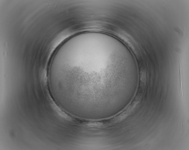 X0000115841466200911131521