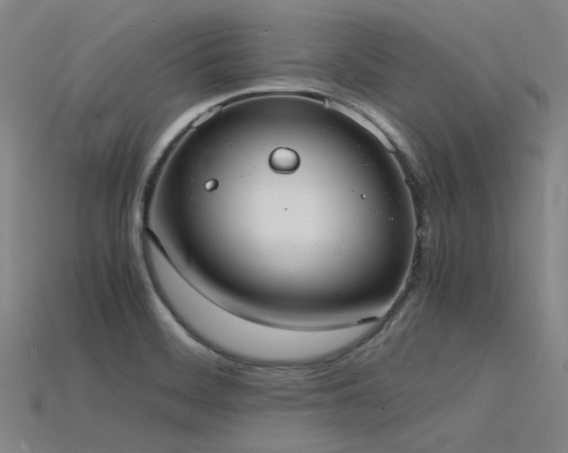 X0000115841468200911131521