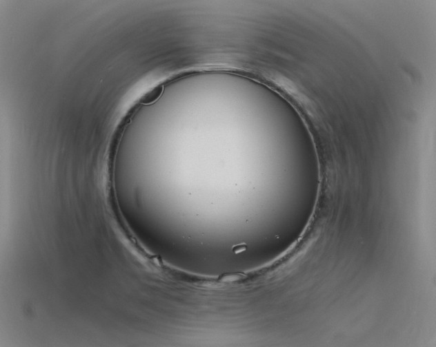 X0000115841469200911131521