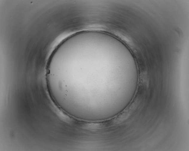 X0000115841470200911131521