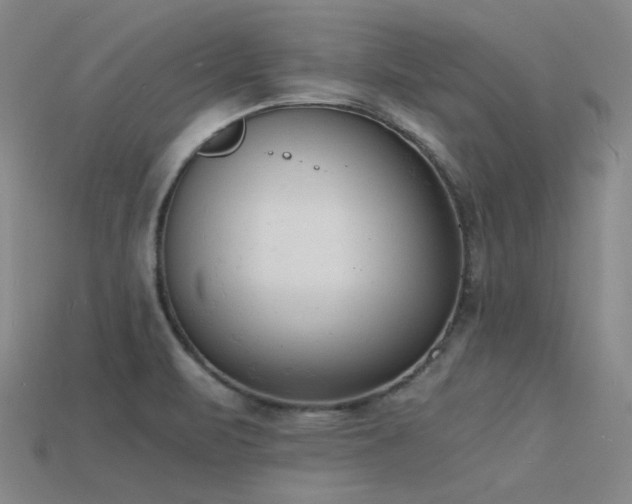 X0000115841471200911131521
