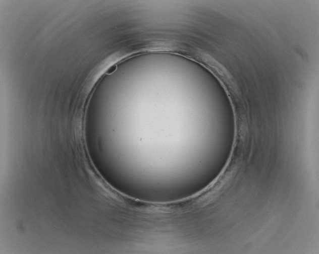 X0000115841473200911131521