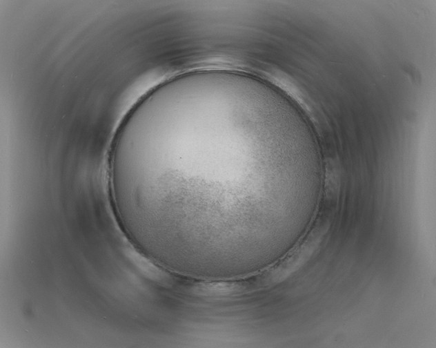 X0000115841474200911131521