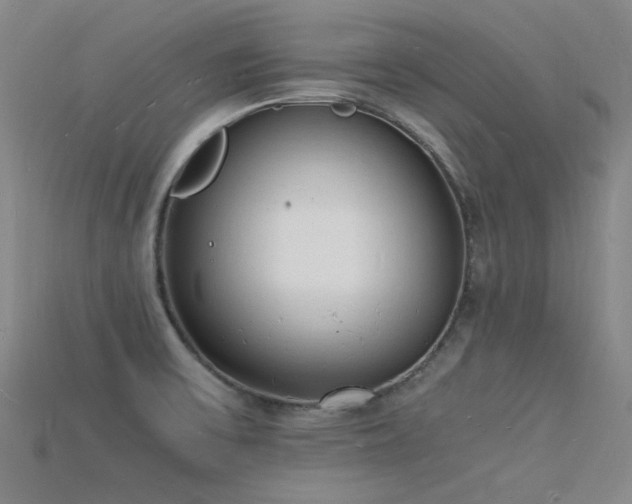 X0000115841475200911131521