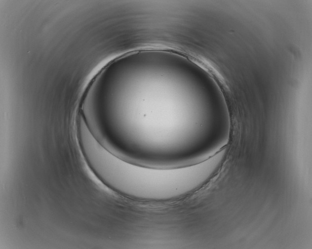 X0000115841476200911131521