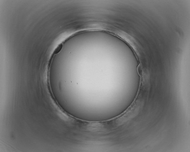 X0000115841477200911131521