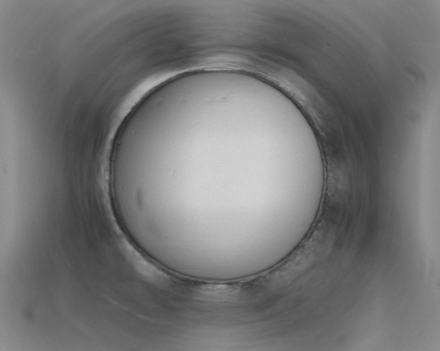 X0000115841478200911131521