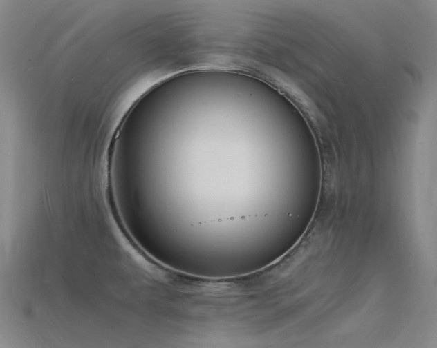 X0000115841479200911131521