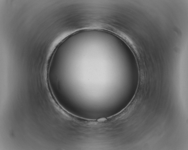 X0000115841480200911131521