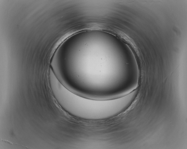 X0000115841481200911131521