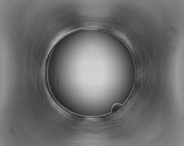 X0000115841483200911131521