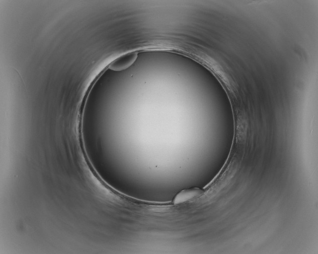 X0000115841484200911131520