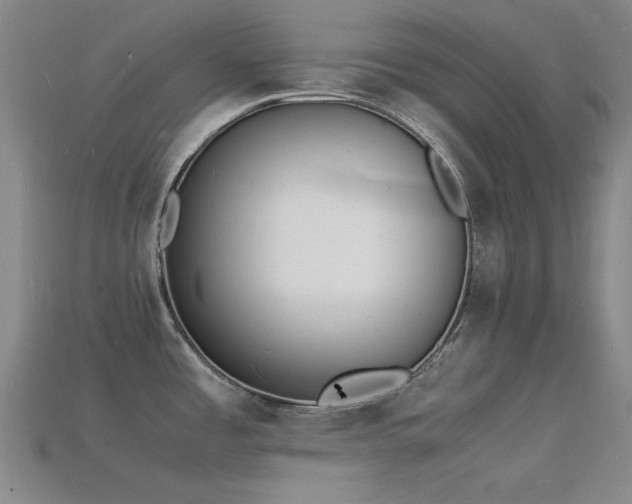 X0000115841485200911131520