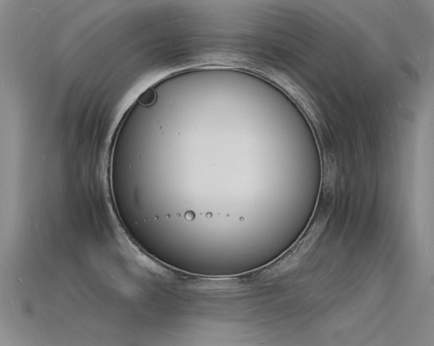 X0000115841486200911131520