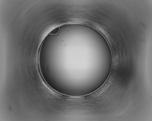 X0000115841487200911131520