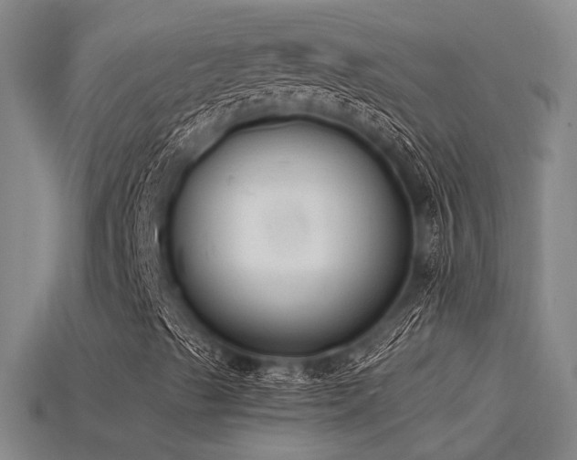X0000115841489200911131520