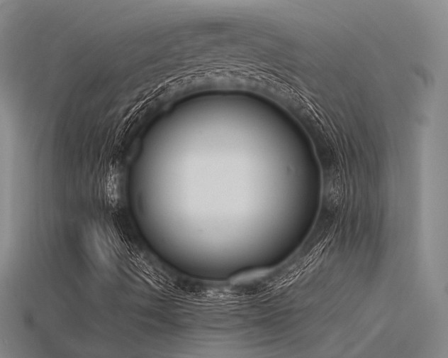 X0000115841490200911131520