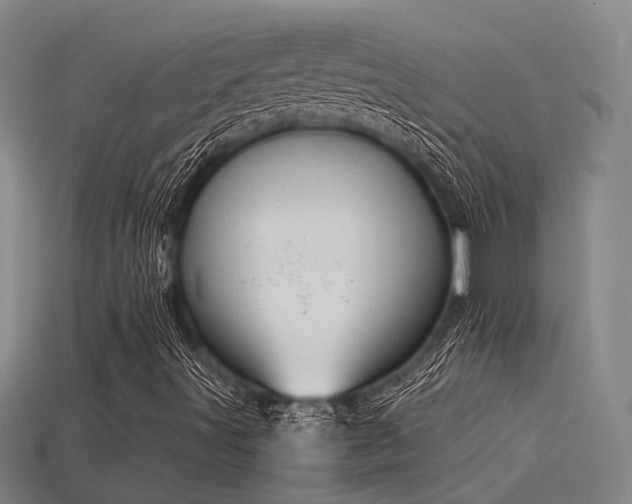 X0000115841491200911131520
