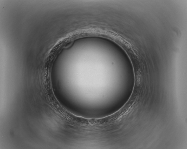X0000115841494200911131520