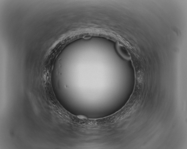 X0000115841495200911131520