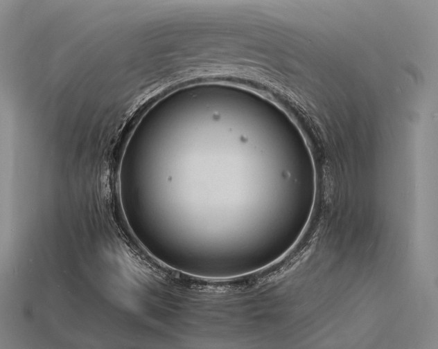 X0000115841497200911131520