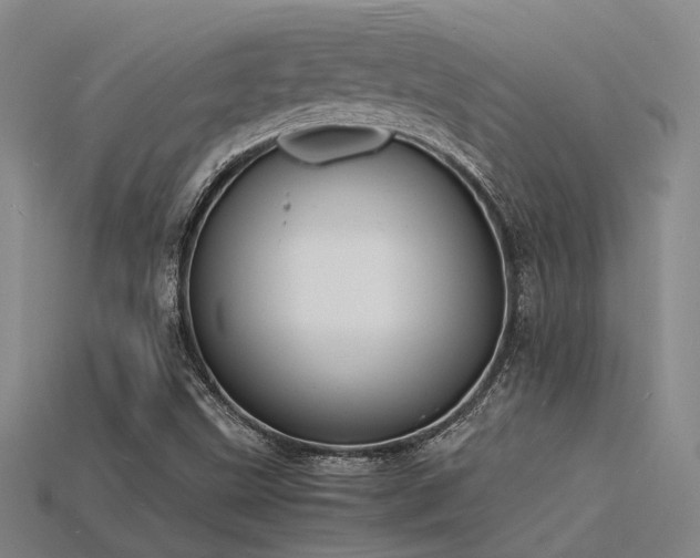 X0000115841499200911131520