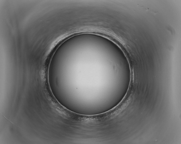 X0000115841501200911131520