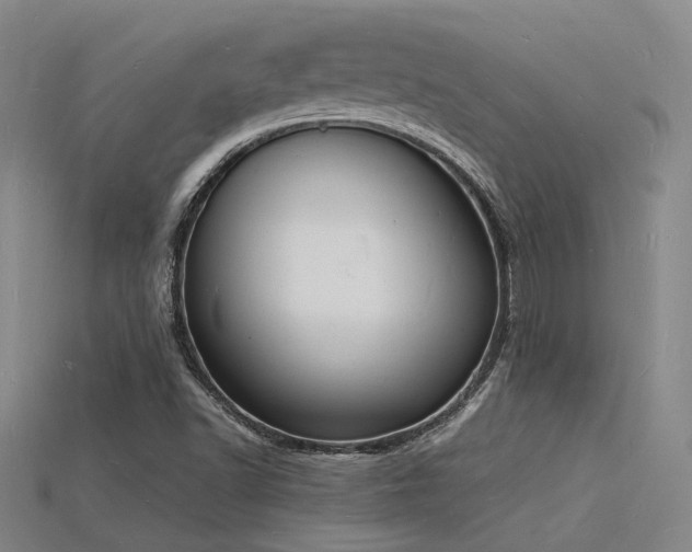 X0000115841502200911131520