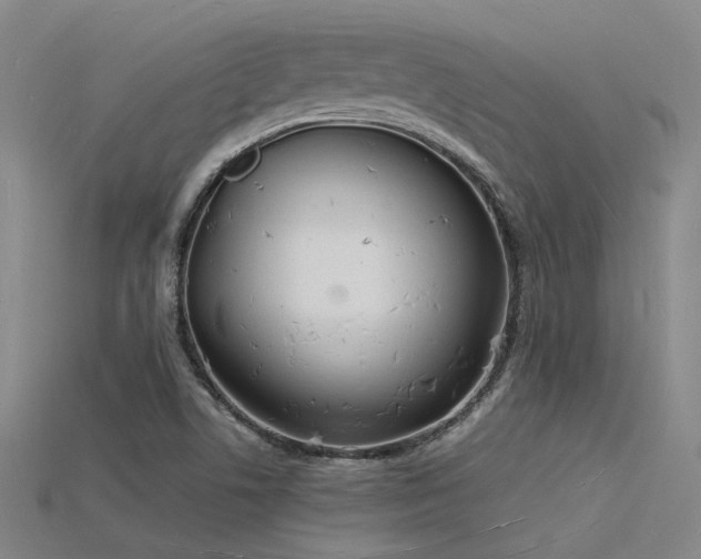 X0000115841506200911131520