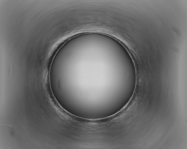 X0000115841507200911131520