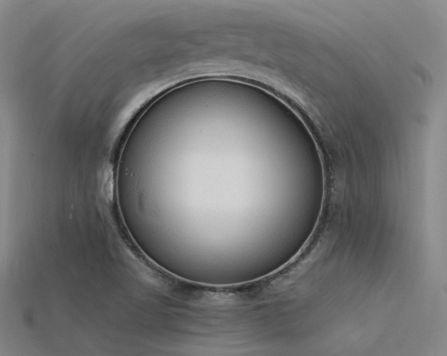 X0000115841509200911131520