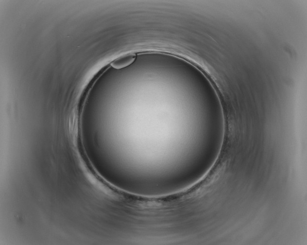X0000115841515200911131520