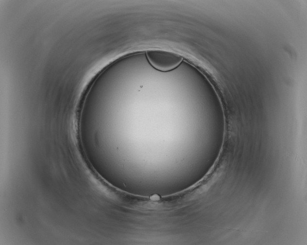 X0000115841517200911131520