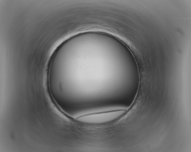X0000115841518200911131520