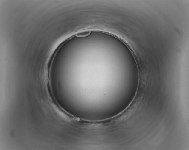 X0000115841519200911131520