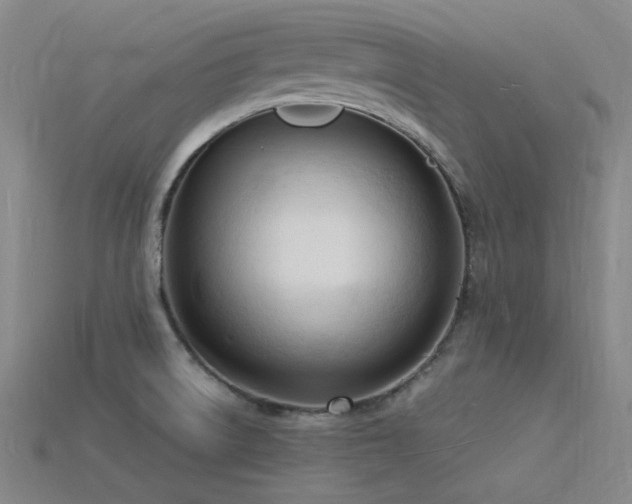 X0000115841522200911131520