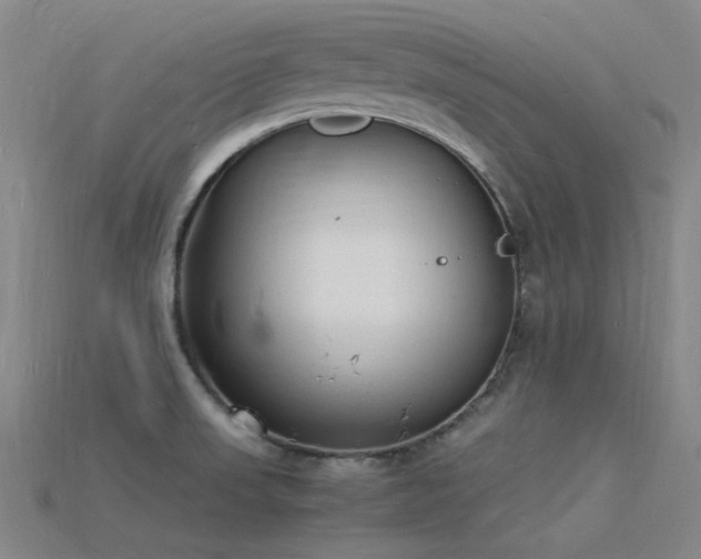 X0000115841523200911131520