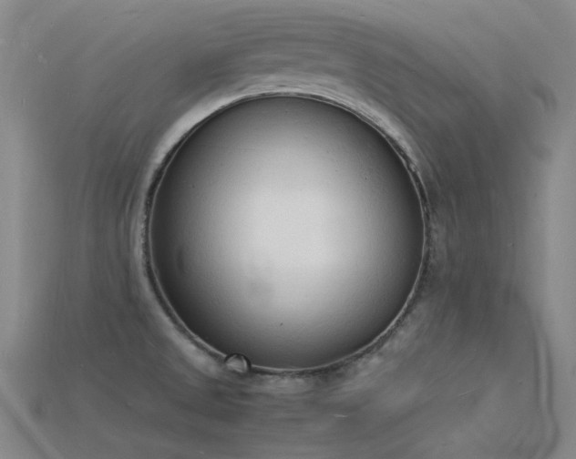 X0000115841525200911131520