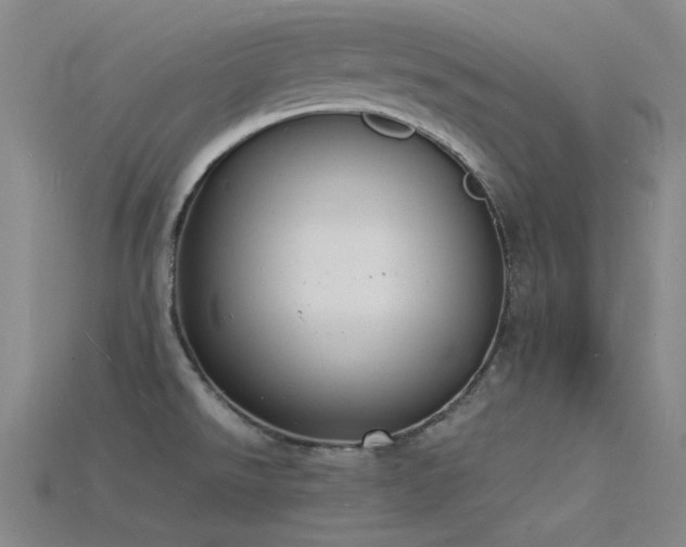 X0000115841526200911131520