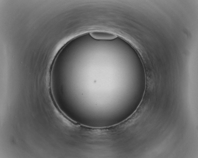 X0000115841527200911131520