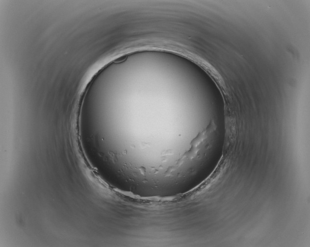 X0000115841530200911131520