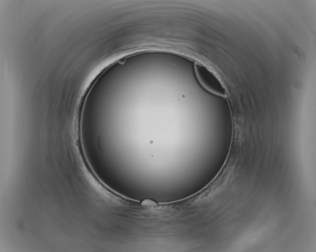 X0000115841531200911131520