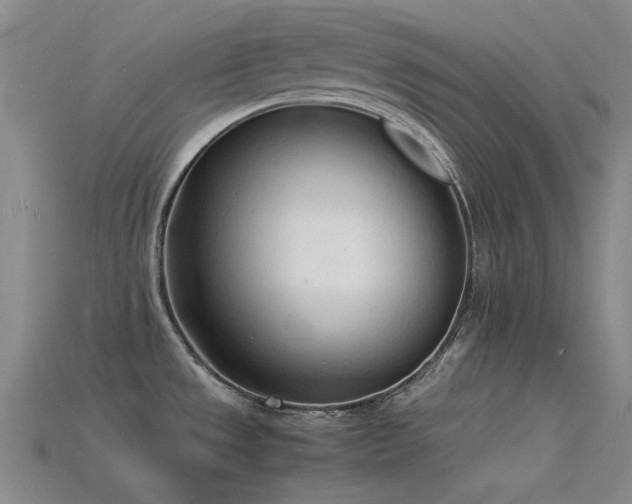 X0000115841533200911131520