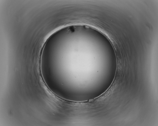 X0000115841534200911131520