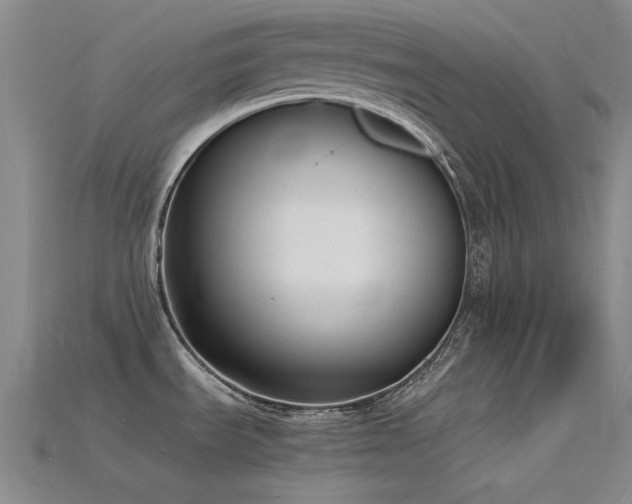 X0000115841535200911131520